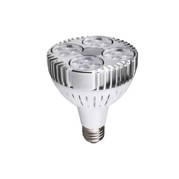 Ampolleta Par30 led